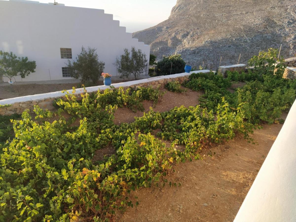 Cycladic Houses In Rural Surrounding Amorgo Esterno foto